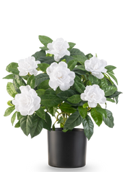 Planta artificial Gardenia 39 cm blanca