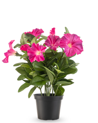 Planta artificial Petunia 25 cm rosa oscuro