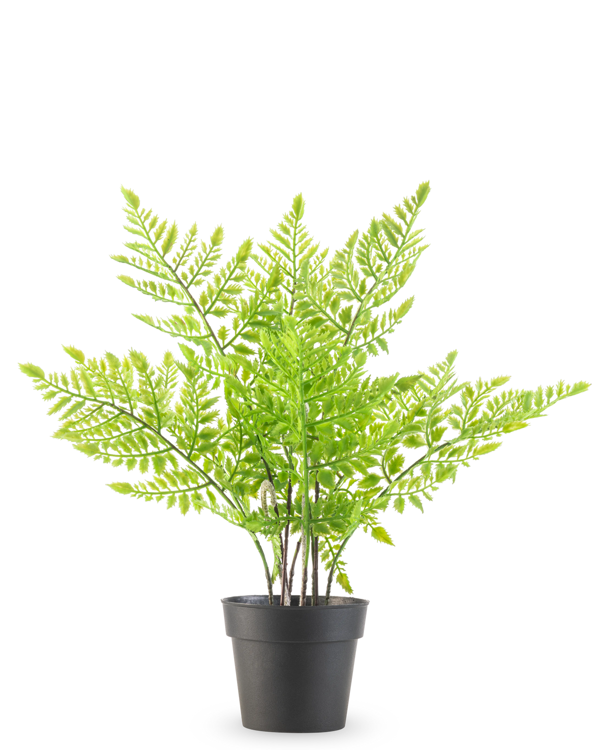 La Planta Artificial Helecho 35 cm es un helecho artificial verde con delicadas hojas que parecen plumas en una sencilla maceta de plástico negro, sobre un fondo blanco liso.
