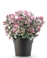 De Kunstplant Eucalyptus paars in pot UV 22 cm heeft paarse eucalyptusbladeren in een donkere pot, tegen een effen witte achtergrond.