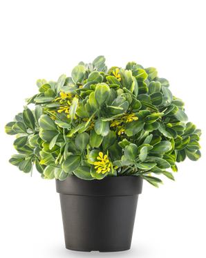 De Kunstplant Groen/geel UV 21 cm heeft groene bladeren en kleine gele bloemen in een effen zwarte pot, tegen een witte achtergrond.