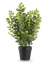 La Planta Artificial Verde 35 cm es una planta artificial realista en una maceta con exuberantes hojas verdes en una sencilla maceta negra, representada sobre un fondo blanco liso.