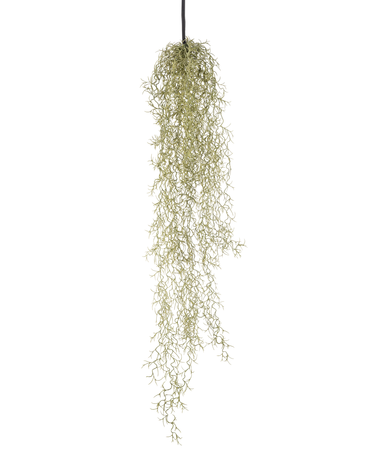 Una planta colgante artificial Hierba de 91 cm con hojas largas y colgantes de color verde claro cuelga de un cordón negro sobre un fondo blanco liso.