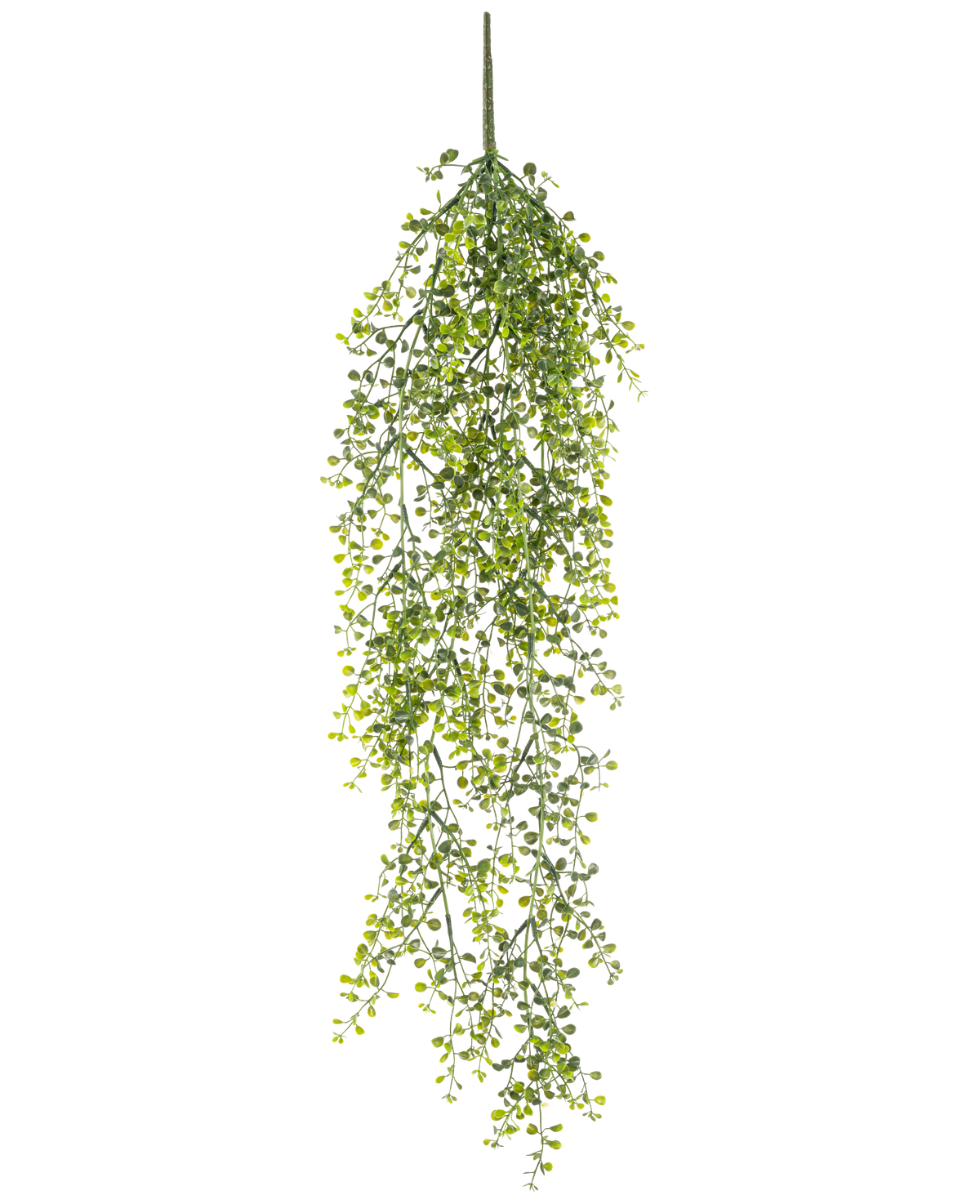La Planta colgante artificial Buxus 80 cm es una planta colgante artificial con largos y sinuosos zarcillos verdes y pequeñas hojas redondas sobre un fondo blanco.