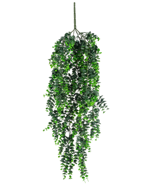De Kunst hangplant Eucalyptus UV 80 cm heeft dichte, trapsgewijze groene bladeren en een zichtbare steel aan de bovenkant, tegen een effen witte achtergrond.
