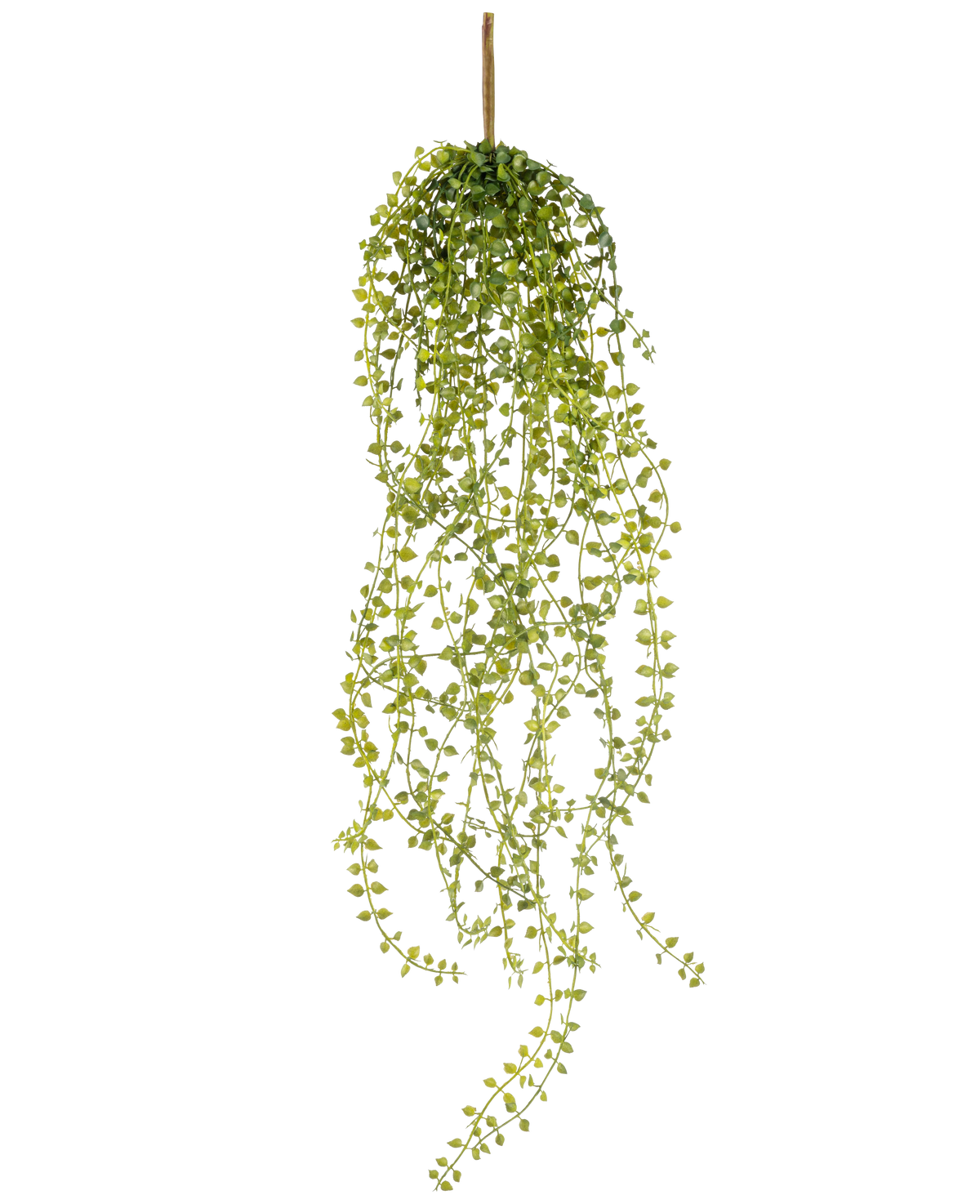 La Planta colgante artificial Jasmin 63 cm es una planta colgante artificial con tallos largos y colgantes de hojas pequeñas y redondas de color verde, que cuelgan de un único tallo marrón sobre un fondo blanco.