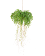 De Kunst hangplant Varen met wortels d35 cm met hangsysteem heeft lange, dunne wortels en hangt onderhoudsvrij aan een touwtje tegen een witte achtergrond.