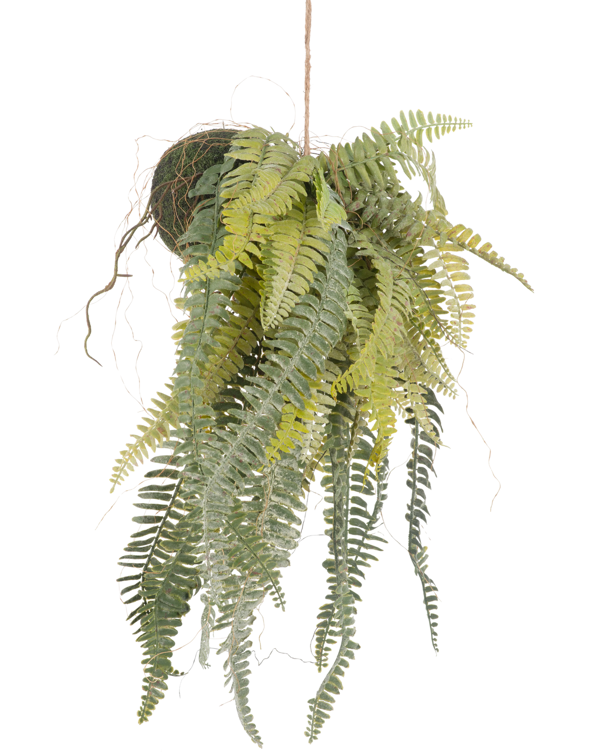 La planta colgante artificial Frosted Fern on ball 97 cm tiene elegantes y largas hojas verdes que cuelgan de una bola cubierta de musgo sujeta por una fina cuerda. Una planta de interior elegante que no requiere mantenimiento y que encaja perfectamente en cualquier interior.