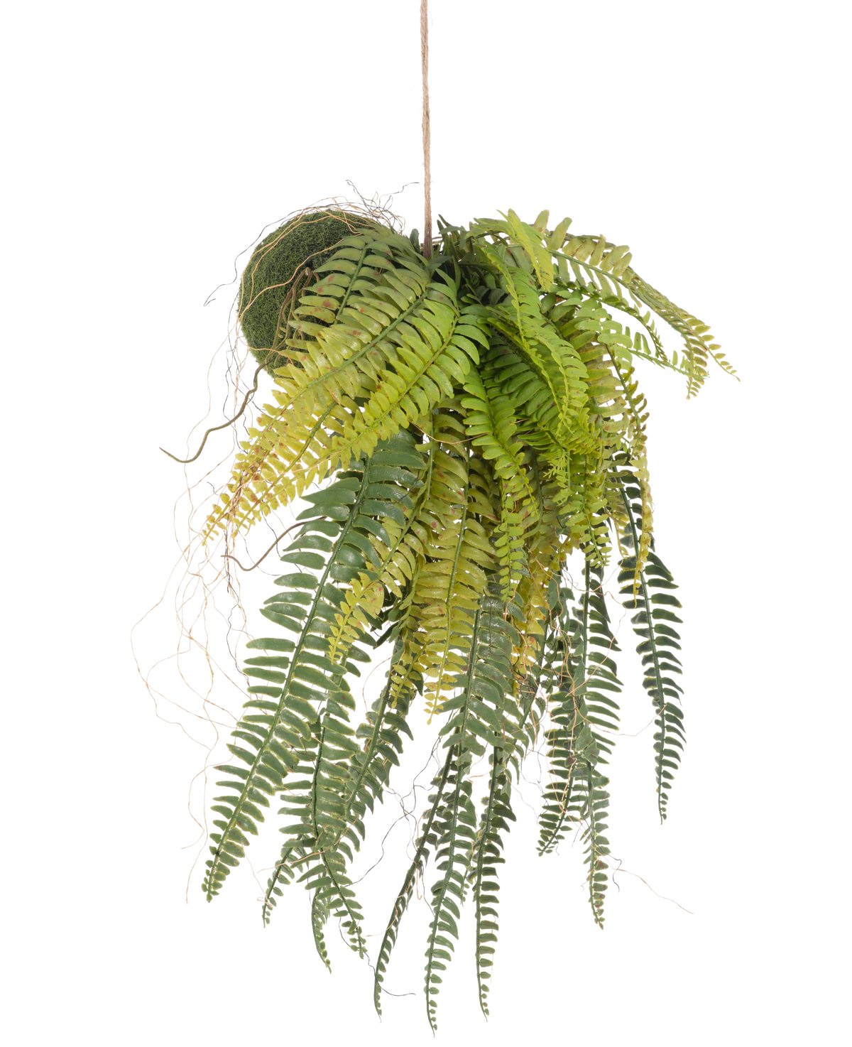 La planta colgante artificial Helecho sobre bola de 63 cm tiene hojas verdes exuberantes y delicadas. Colgada de una cuerda delgada sobre un fondo blanco, es la planta colgante perfecta y sin mantenimiento para cualquier habitación.