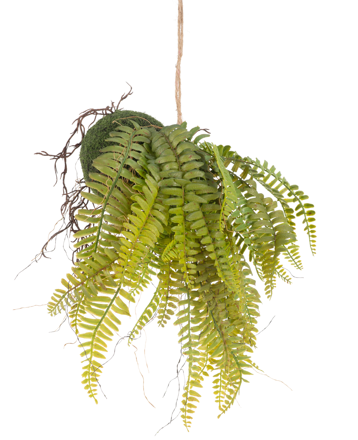 La planta colgante artificial Helecho sobre bola de 26 cm tiene hojas verdes realistas en una bola cubierta de musgo, suspendidas de una cuerda: una pieza decorativa ideal para cualquier interior sobre un fondo blanco.