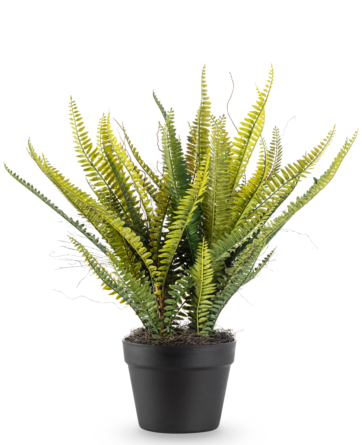 La planta artificial Helecho de Boston de 53 cm tiene hojas verdes largas y delgadas en una maceta negra, sobre un fondo blanco liso.