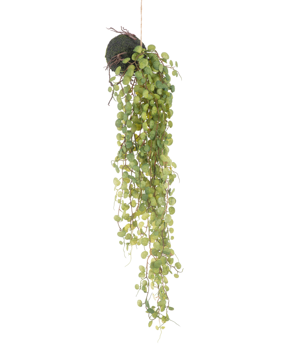 La planta suculenta artificial colgante sobre bola de 78 cm tiene hojas redondas verdes que emergen de una pequeña maceta esférica cubierta de musgo, perfecta como acento decorativo sobre un fondo blanco liso.