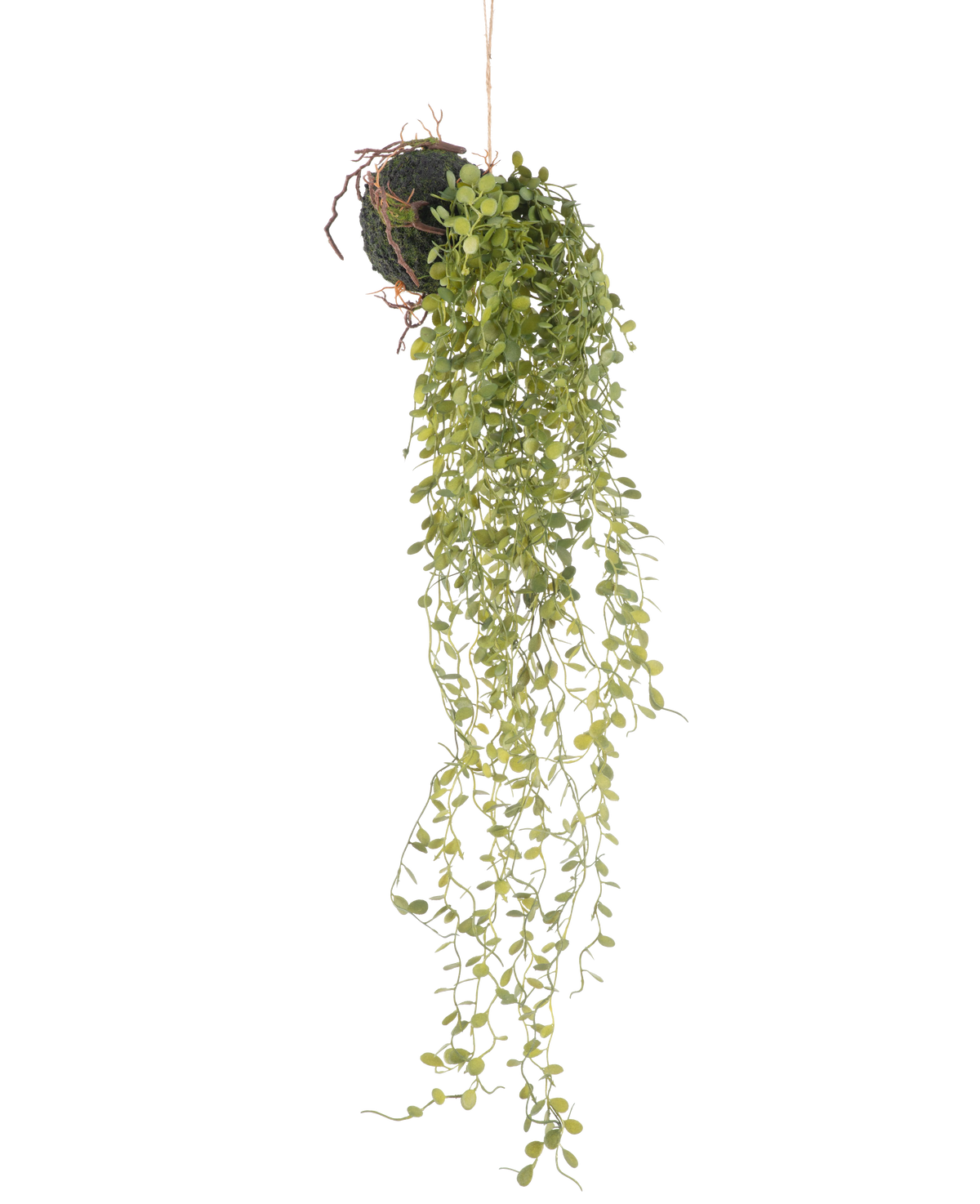 La Planta Colgante Artificial Bola de Planta Suculenta de 58 cm tiene una planta suculenta de color verde con pequeñas hojas redondas, que cuelga de una bola de tierra cubierta de musgo, sobre un fondo blanco liso.