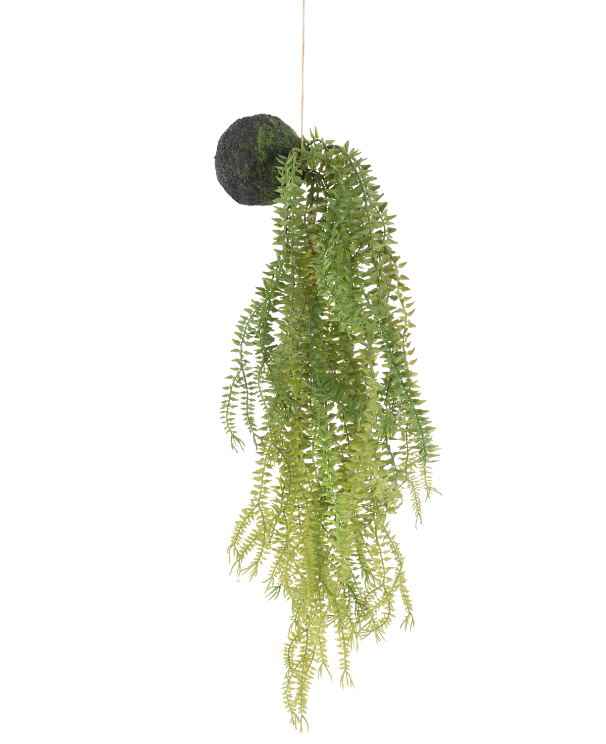 La planta artificial colgante Phlegmariurus ball de 50 cm tiene hojas de helecho verdes sobre una base redonda cubierta de musgo, suspendidas de una cuerda sobre un fondo blanco.