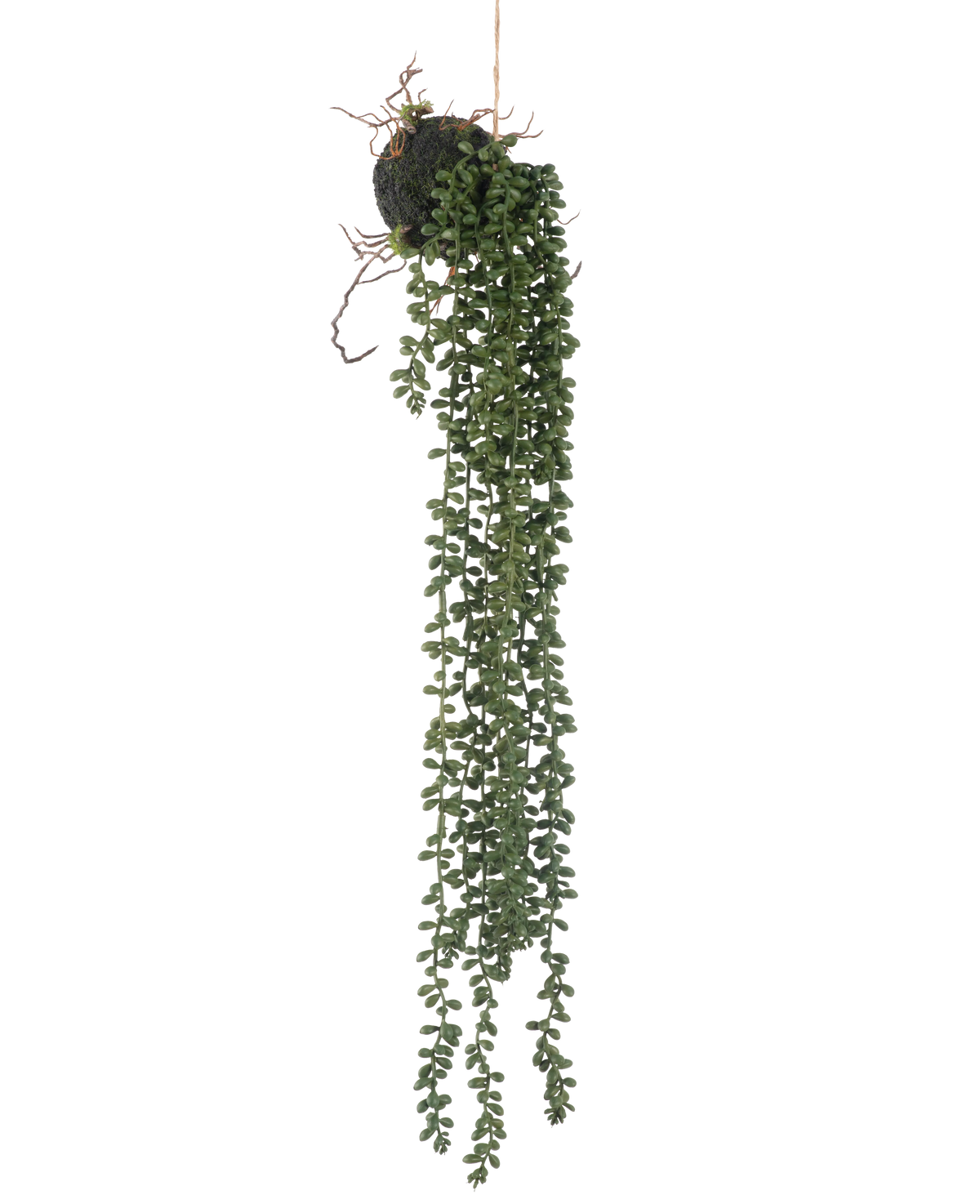 La planta colgante artificial Senecio bola 58 cm tiene largos y sinuosos zarcillos verdes con pequeñas hojas redondas que cuelgan de una bola de musgo, sobre un fondo blanco.
