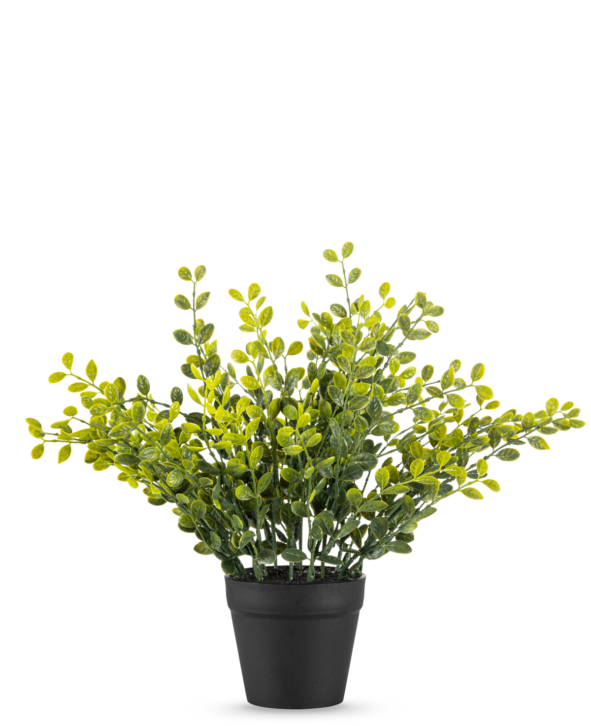 La Planta de Hojas de Té Artificial 25 cm es una pequeña planta de follaje verde con hojas amarillas en una sencilla maceta negra, sobre un fondo liso blanco.