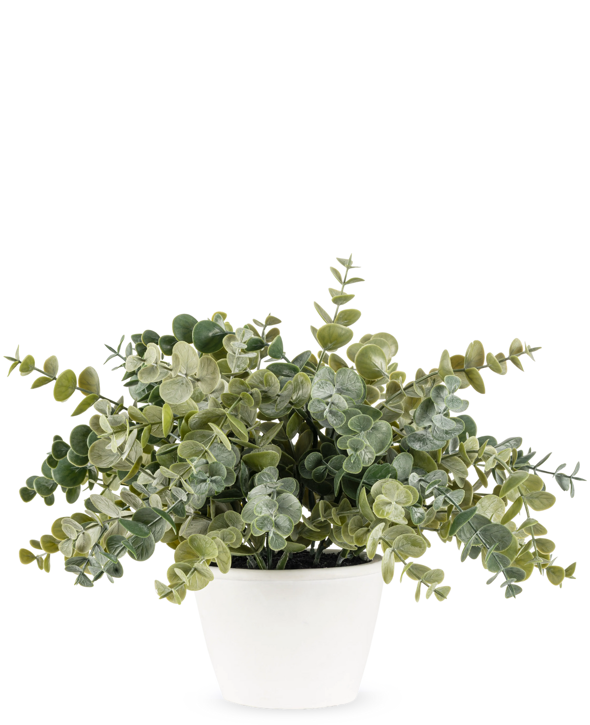 La planta de Eucalipto Artificial de 23 cm tiene exuberantes hojas verdes redondas y se presenta en una sencilla maceta blanca, perfecta para iluminar cualquier espacio con su aspecto natural sobre un fondo liso.