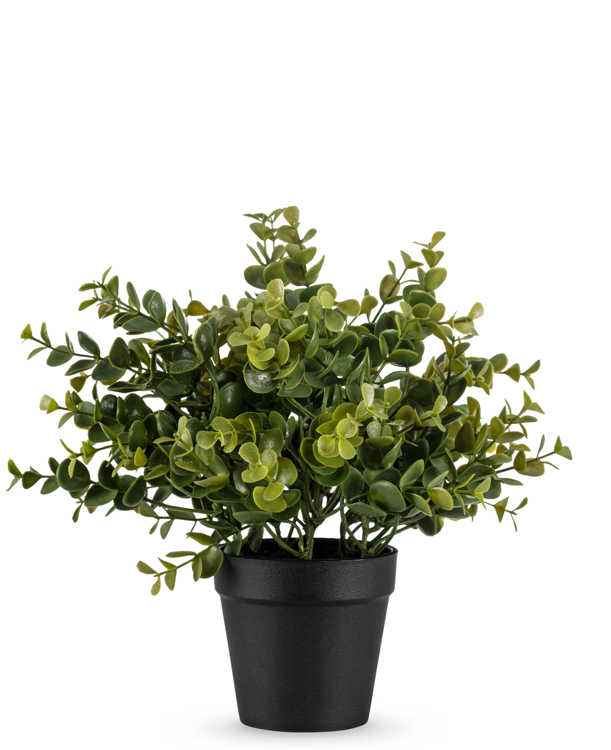 La planta artificial Pumila de 25 cm es una pequeña planta artificial en maceta con exuberantes hojas verdes en una sencilla maceta negra, representada sobre un fondo blanco liso.
