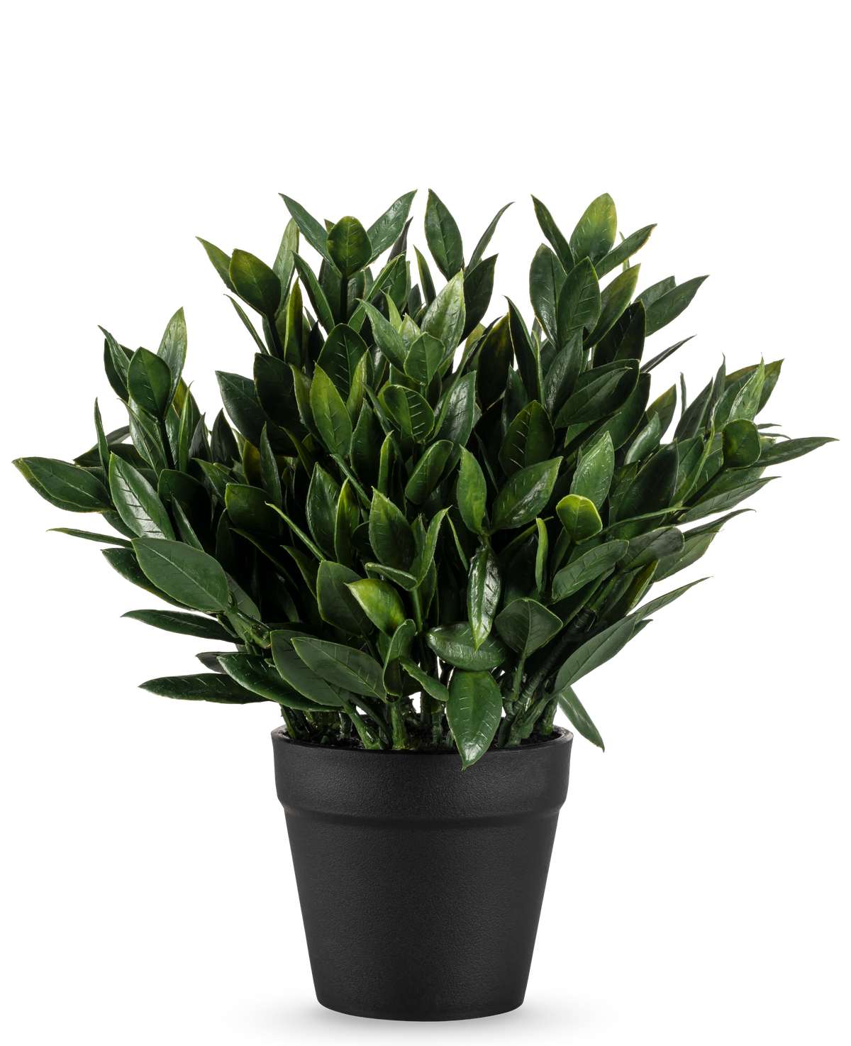 La Planta Artificial Pumila de 23 cm es una planta artificial de un verde exuberante con numerosas hojas puntiagudas, en una sencilla maceta negra y sobre un fondo blanco liso.