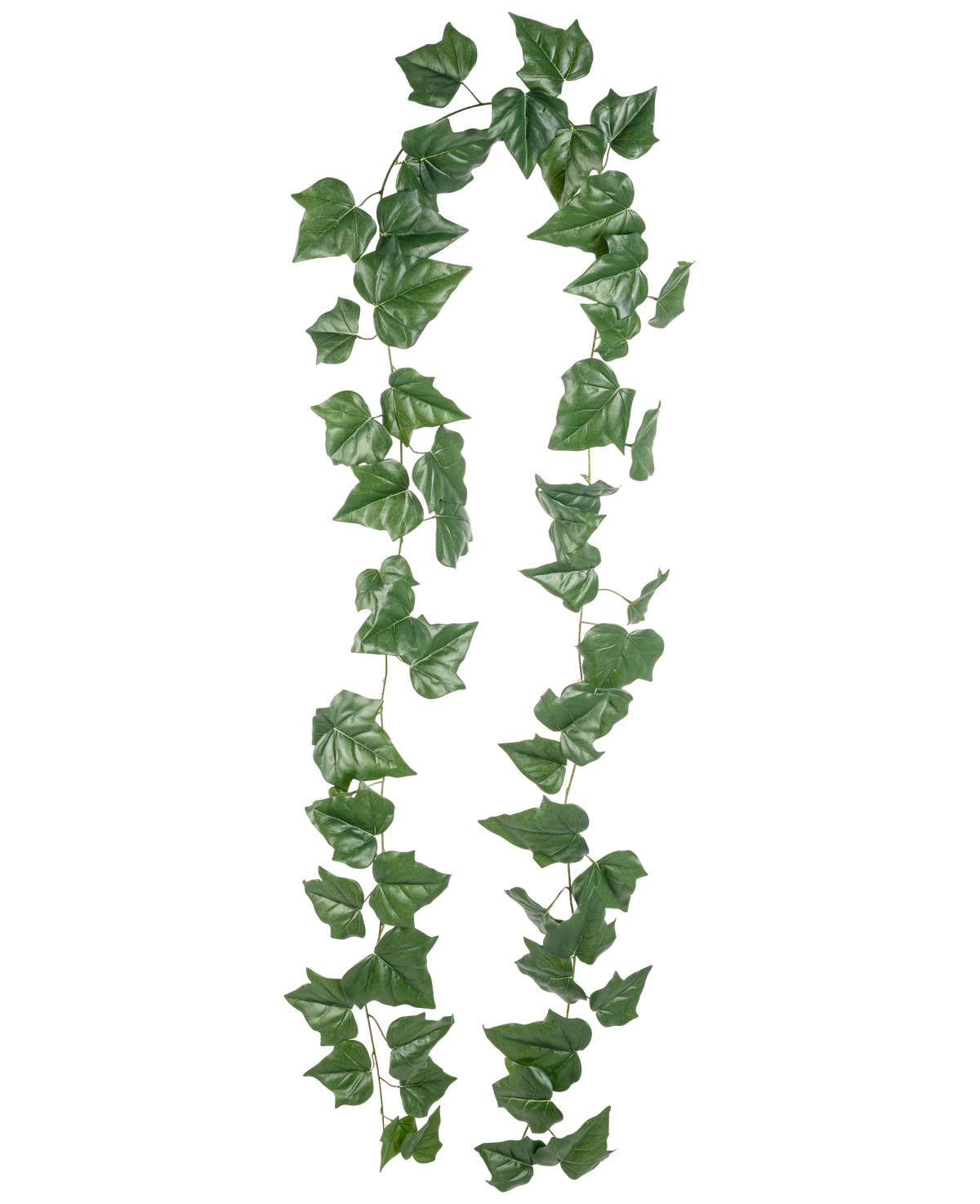 Dos hileras de planta colgante de hiedra artificial de 340 cm con hojas anchas en forma de corazón cuelgan sobre un fondo blanco liso: una opción ideal para aportar un ambiente verde a su hogar.