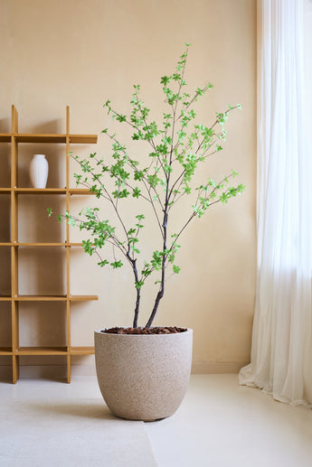 La Planta Artificial Enkianthus 180 cm, un árbol artificial realista con hojas verdes en una gran jardinera beige llena de piedras marrones, se coloca en una habitación minimalista con una estantería de madera, un jarrón blanco, paredes color crema y cortinas blancas transparentes.