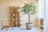 Een minimalistische leefruimte is voorzien van een houten stoel, de Kunst Olijfboom 200 cm als levensechte potplant en een houten plank met drie witte vazen. Zonlicht stroomt door witte gordijnen over een groot raam.