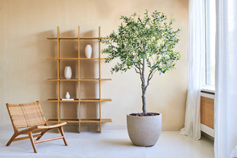 Een minimalistische leefruimte is voorzien van een houten stoel, de Kunst Olijfboom 200 cm als levensechte potplant en een houten plank met drie witte vazen. Zonlicht stroomt door witte gordijnen over een groot raam.