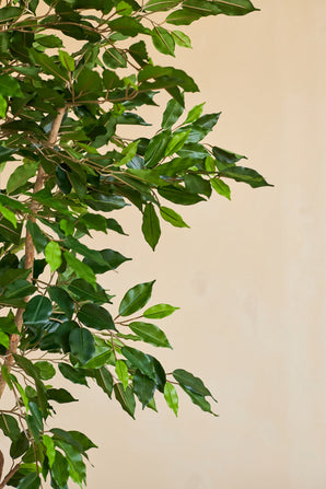 Un primer plano de la planta artificial Ficus Green de 180 cm con ramas delgadas en una maceta decorativa, sobre un fondo liso beige.