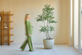 Una persona vestida de verde pasa junto a la planta Ruscus artificial de 180 cm, una planta alta en maceta en una habitación minimalista con paredes claras, una ventana y un estante de madera. La figura parece vagamente en movimiento.