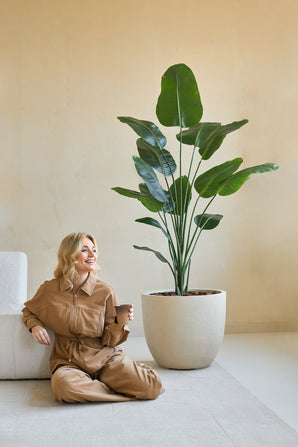 Una mujer con un mono marrón está sentada sonriendo en el suelo con una taza de café a su lado, junto a la Planta Artificial Strelitzia 180 cm real touch en una habitación minimalista con paredes beige.
