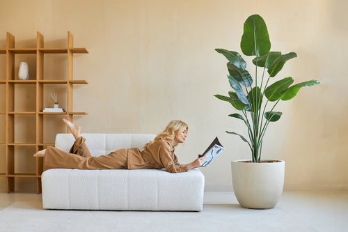 Una mujer vestida con ropa de dormir marrón lee una revista en un sofá blanco. Detrás de ella, la planta artificial Strelitzia de 180 cm real touch aporta una exuberante vegetación a una decoración moderna y minimalista.