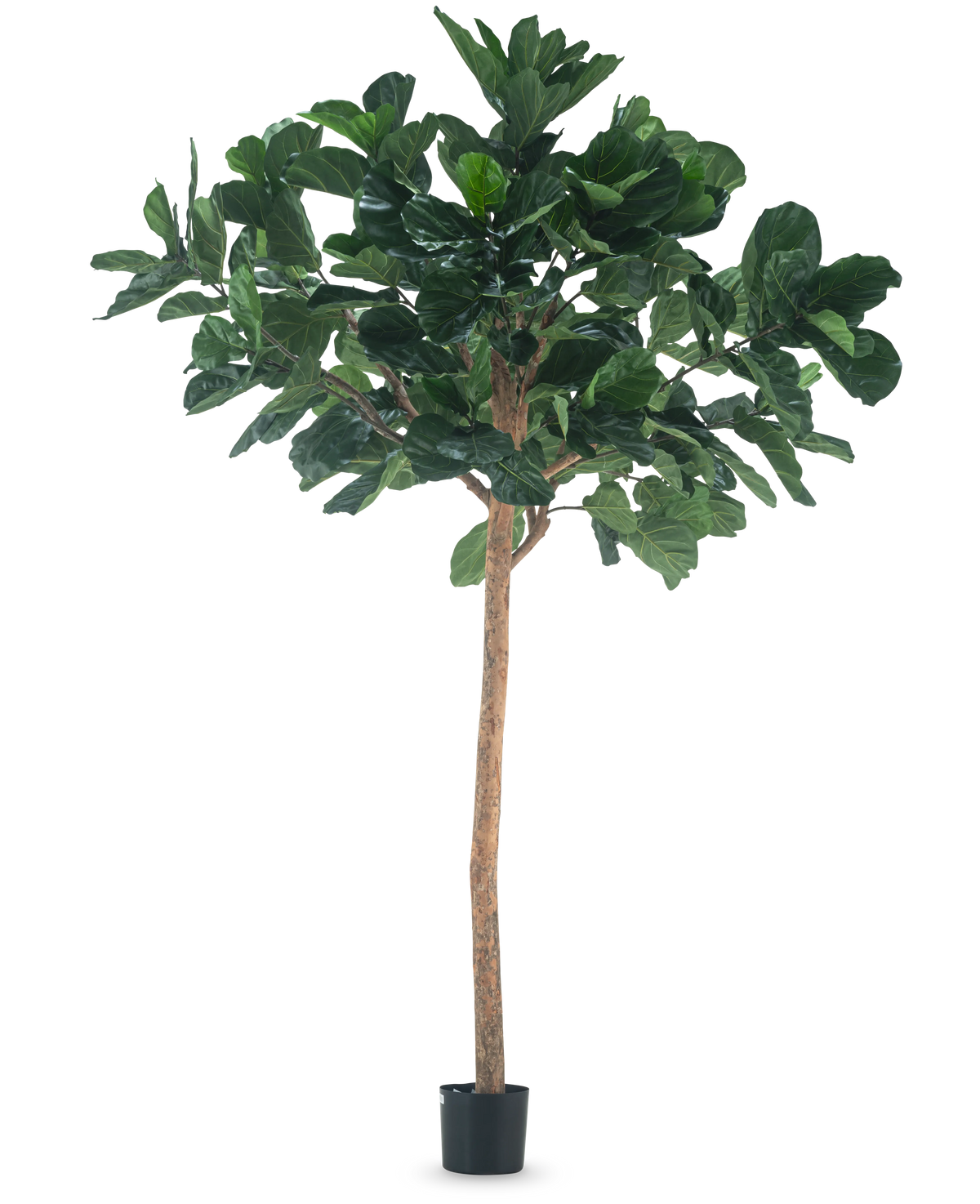 La Planta de Tabaco Árbol Artificial de 260 cm es una planta artificial alta con exuberantes hojas verdes y un esbelto tronco marrón, en una maceta negra compacta y sobre un fondo blanco liso.