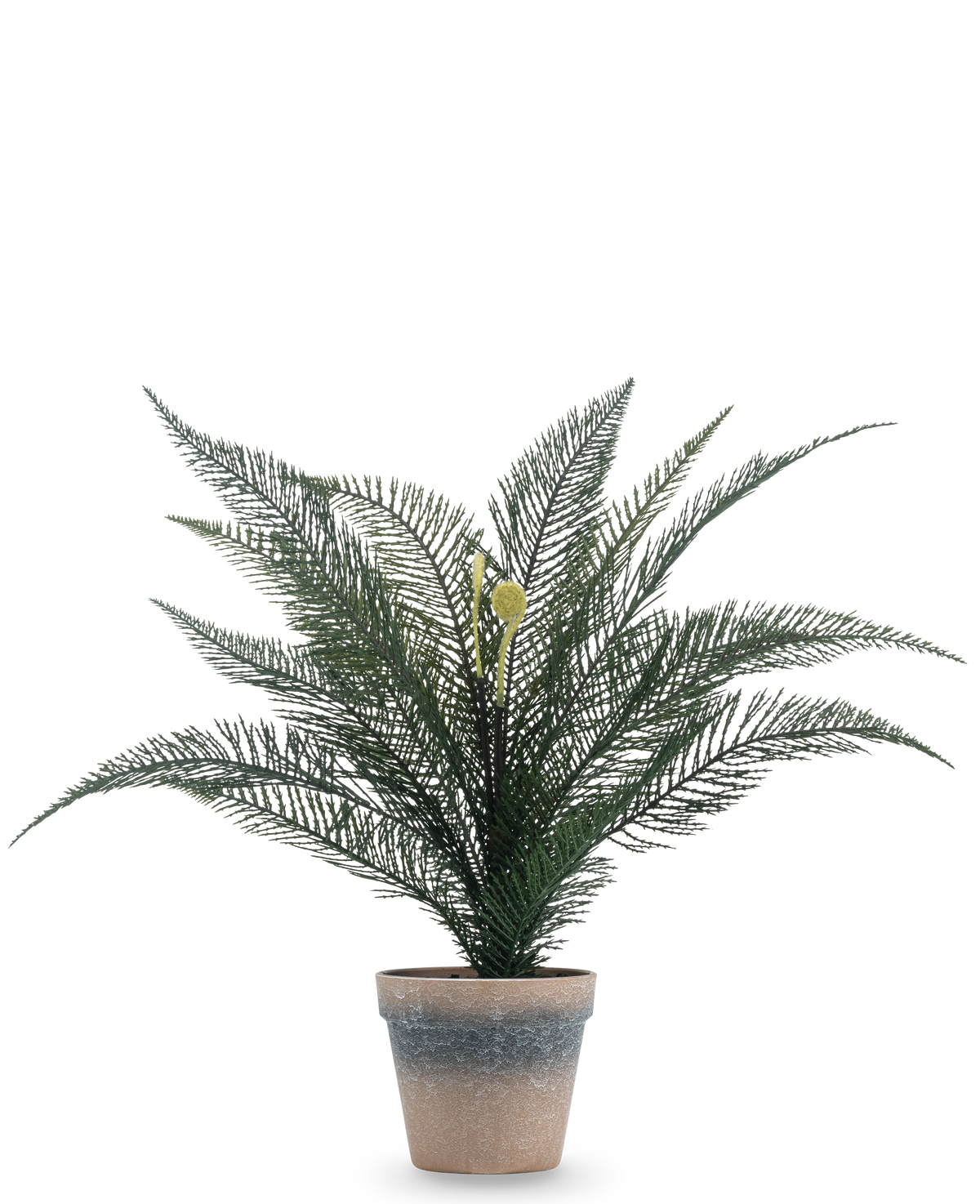 Planta artificial Helecho fénix de 39 cm en una sencilla maceta de terracota desgastada con exuberantes hojas verdes plumosas sobre un fondo blanco liso.