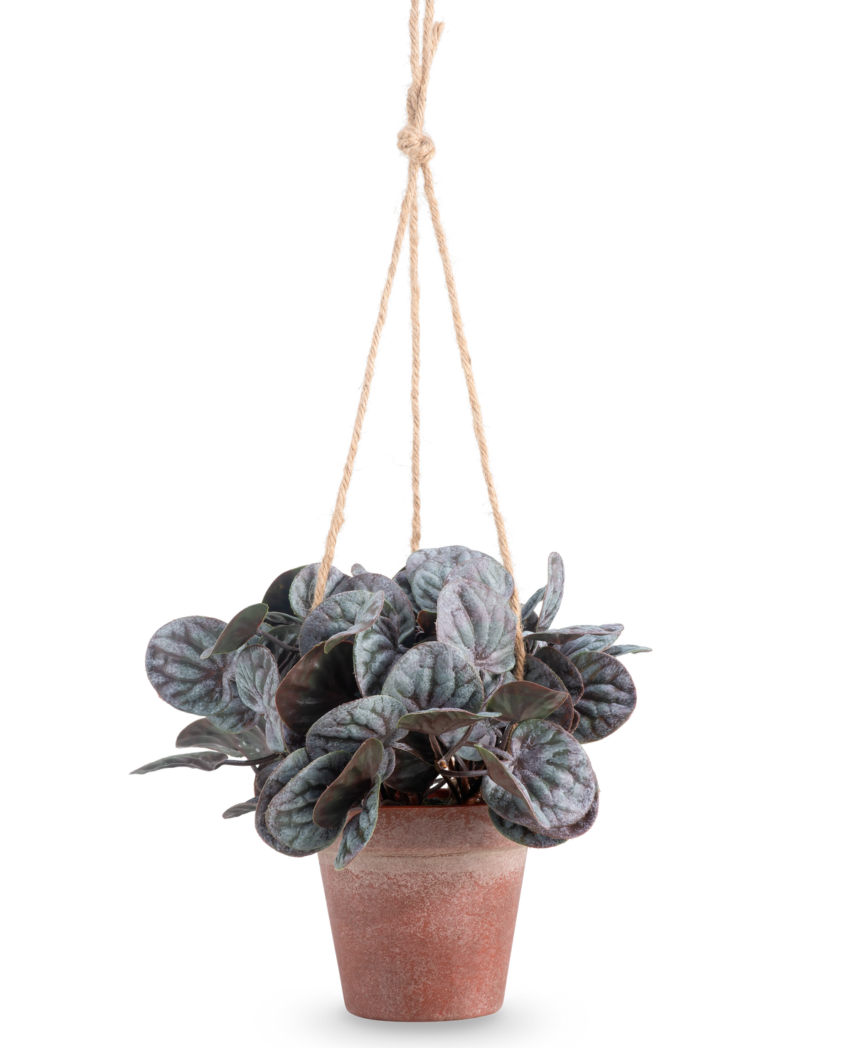 La Hoja Rugosa Artificial (18 cm) es una planta artificial con hojas redondas de color verde frondoso en una maceta colgante rústica de color gris, colgada de una percha de cuerda color canela, sobre un fondo blanco liso.