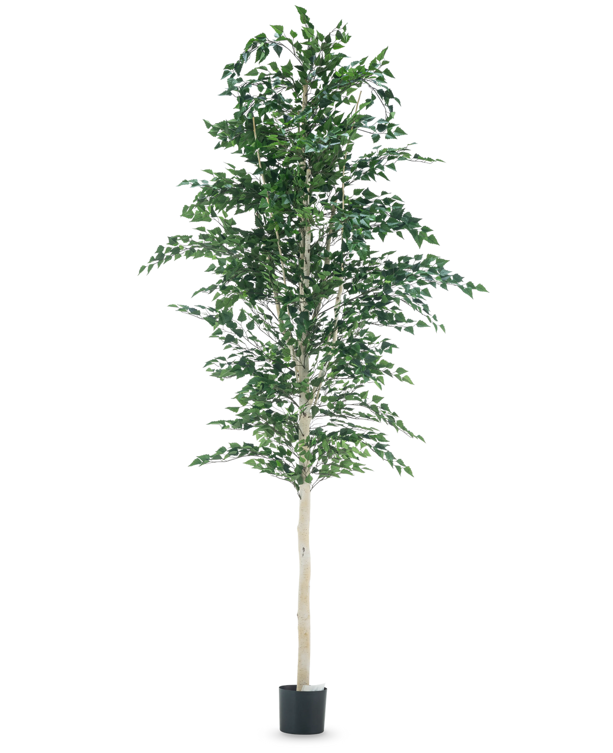 El Árbol Berke Artificial 300 cm es un árbol con hojas.