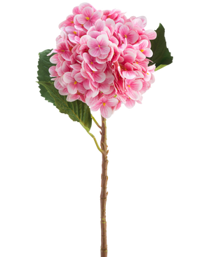 De Kunstbloem Hortensia Real Touch roze 58 cm is een enkele roze kunsthortensiastengel met groene bladeren, met een ronde bloei van vele kleine bloemblaadjes, prachtig gedetailleerd en geïsoleerd op een witte achtergrond.