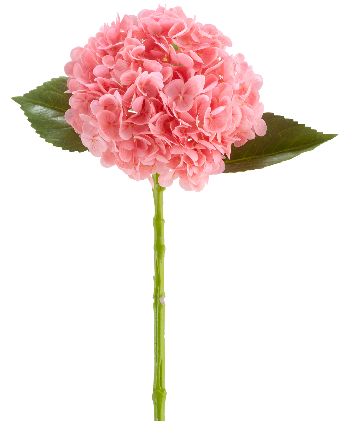 La Flor Artificial Charlotte Hydrangea Real Touch rosa oscuro es una flor de hortensia artificial de 55 cm de largo, con un racimo redondo de pétalos de color rosa oscuro y hojas verdes sobre un tallo largo, aislada sobre un fondo blanco.
