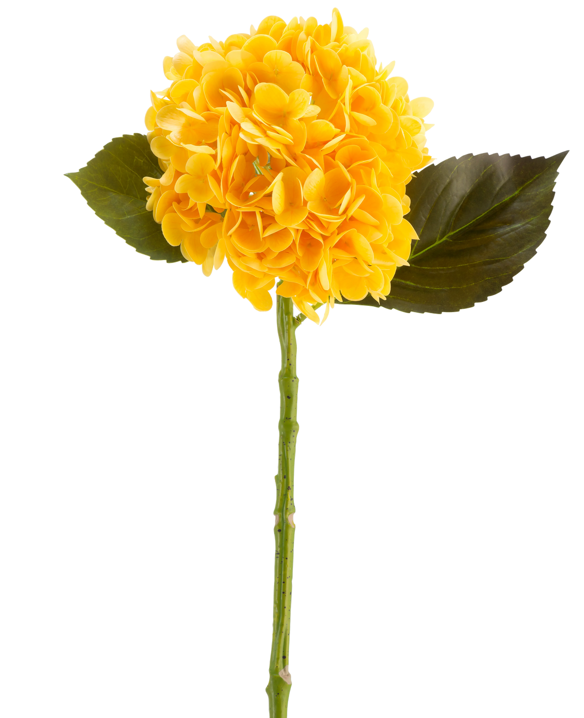 La Flor Artificial Charlotte Hortensia Real Touch en amarillo, 55 cm, es una única flor de hortensia artificial con hojas verdes y un tallo largo, sobre un fondo blanco.