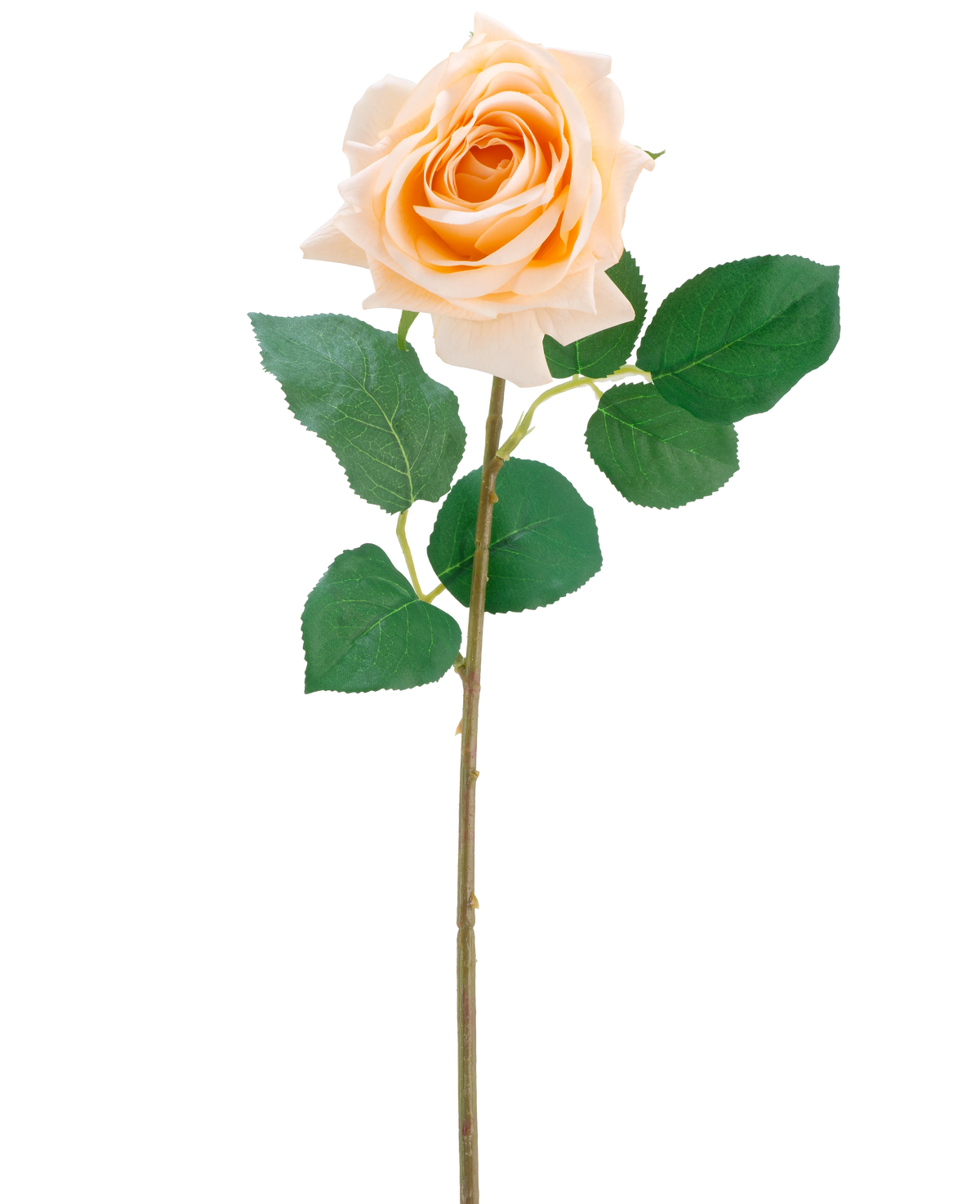 La flor artificial Crystal touch rosa hidratante Real Touch en champán es una única rosa artificial con hojas verdes en un tallo delgado de 43 cm de largo, representada sobre un fondo blanco liso.