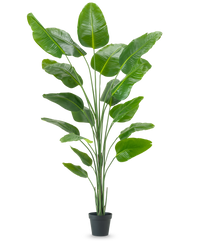 Ave del Paraiso Planta artificial Strelitzia 240 cm tacto real