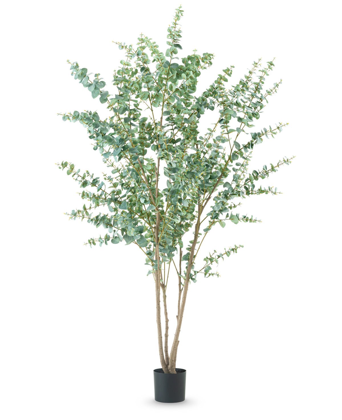 La Planta Artificial Eucalipto de 240 cm es una planta artificial alta con múltiples tallos leñosos delgados y hojas verdes redondas, expuesta en una sencilla maceta negra sobre un fondo blanco liso.