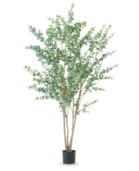 Planta artificial Eucalipto 240 cm