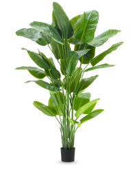 Planta artificial Strelitzia Tacto real Deluxe 210 cm
