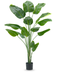 Ave del Paraiso Planta artificial Strelitzia 210 cm tacto real