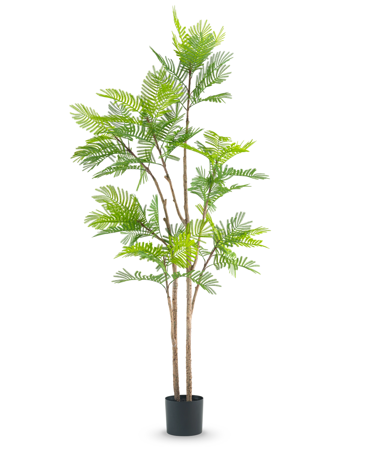 La planta de helecho artificial de 210 cm es una planta artificial alta con múltiples tallos delgados de color marrón y exuberantes hojas verdes parecidas a las de un helecho, sobre un fondo blanco liso.