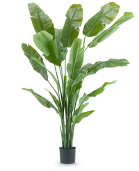 Ave del Paraiso Planta artificial Strelitzia Nicolai Deluxe 215 cm