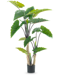 Planta artificial Alocasia 180 cm