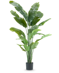 Ave del Paraiso Planta artificial Strelitzia Nicolai Deluxe 195 cm