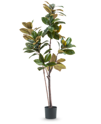 Árbol artificial Magnolia Yuliana 180 cm