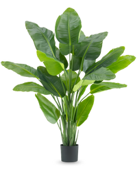 Planta artificial Strelitzia Tacto real Deluxe 180 cm